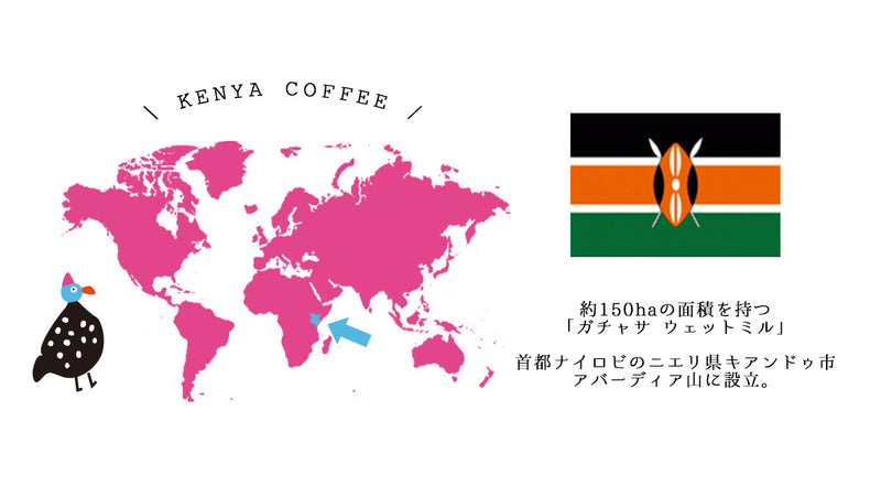 Uncle Beard and Flapping Bird - Kenya Gachasa | Drip Coffee