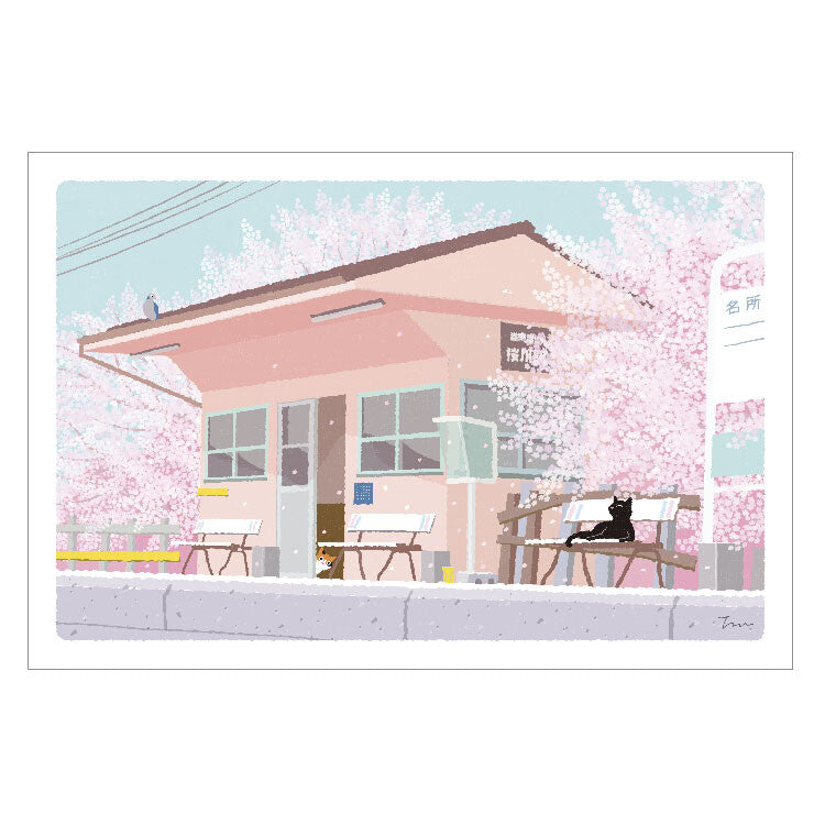 Tabineko Postcard with cats in Japan | spring