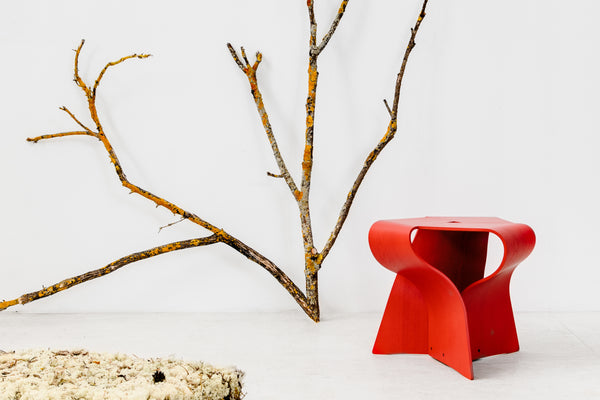 Red Mushroom, Photo Credit : Viktor Holm (www.viktorholm.se)