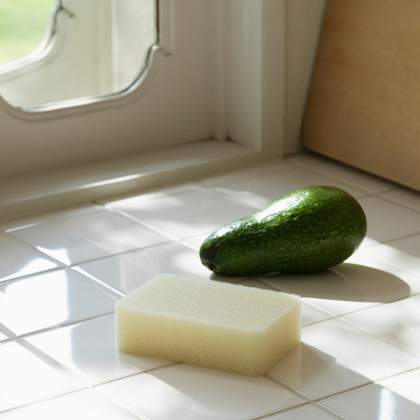 Kamenoko Sponge Do |  Rectangular Type