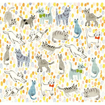 Cat Paper set | Furukawashiko