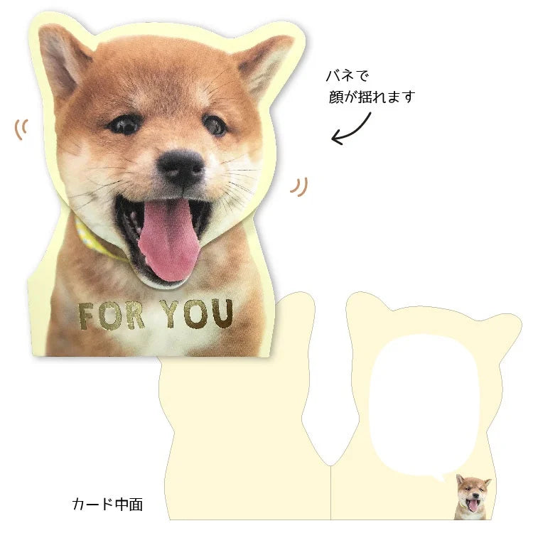 For you card Shiba