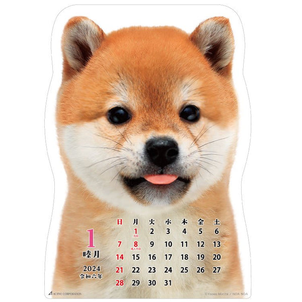 2024 Wall Calendar Shiba
