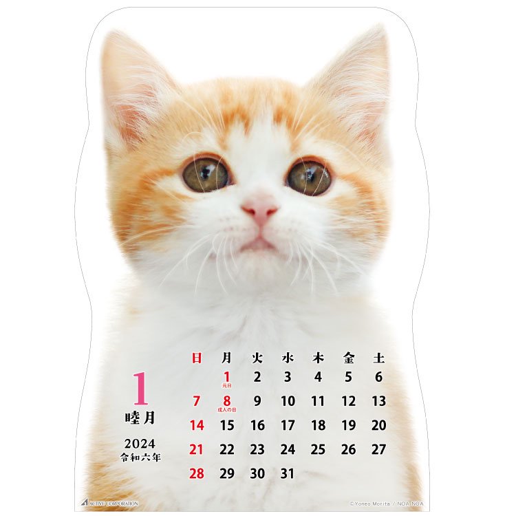 2024 Wall Calendar Cat