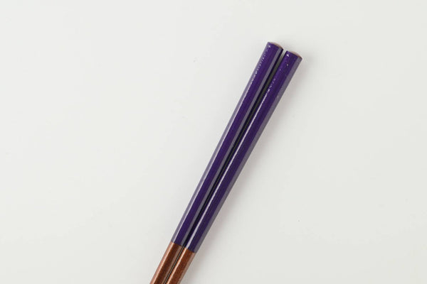 Dishwasher safe Everyday Colorful Chopsticks – Purple