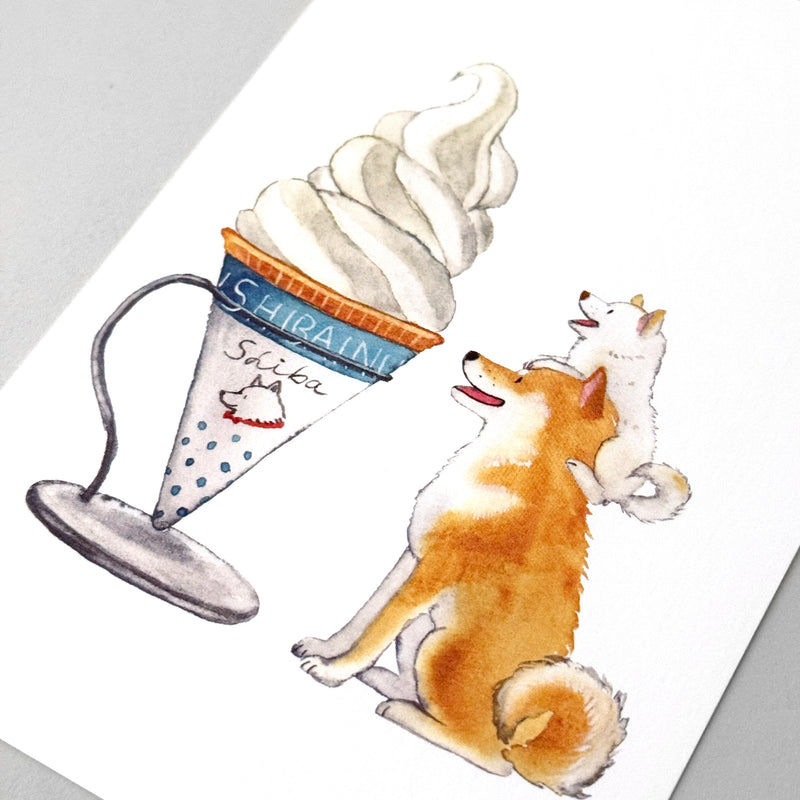 Shiba Inus and soft ice Post card