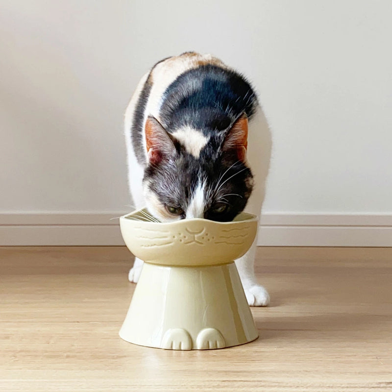 Mino Ware Elevated Food Bowl for Cats – ZAKKAsine