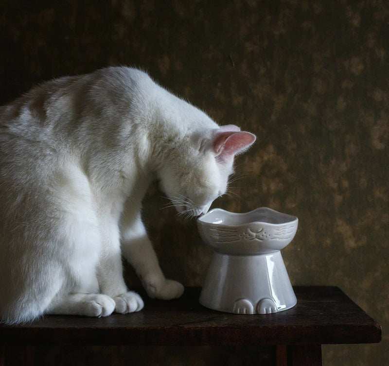 Mino Ware Elevated Food Bowl for Cats – ZAKKAsine