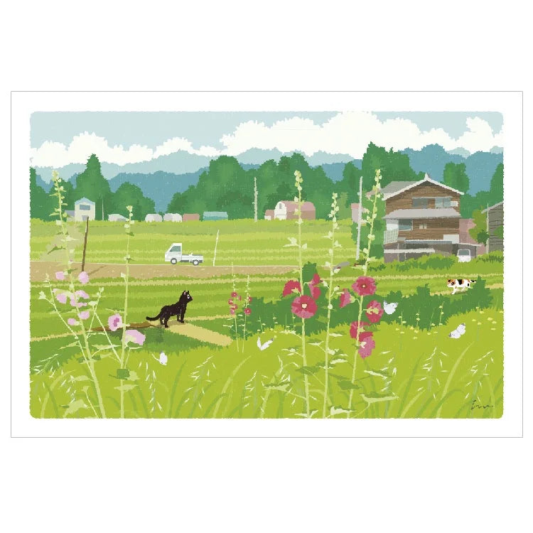 Tabineko Postcard with cats in Japan | summer