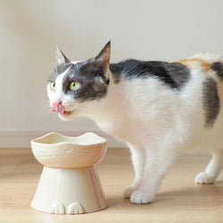 Mino Ware Elevated Food Bowl for Cats – ZAKKAsine