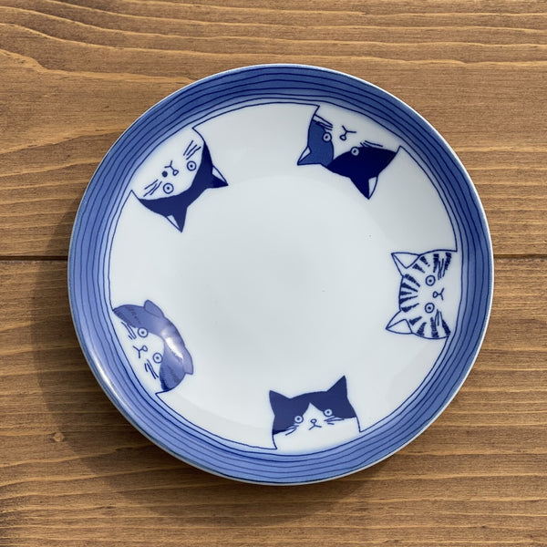 16cm plate with five cats | neko cat