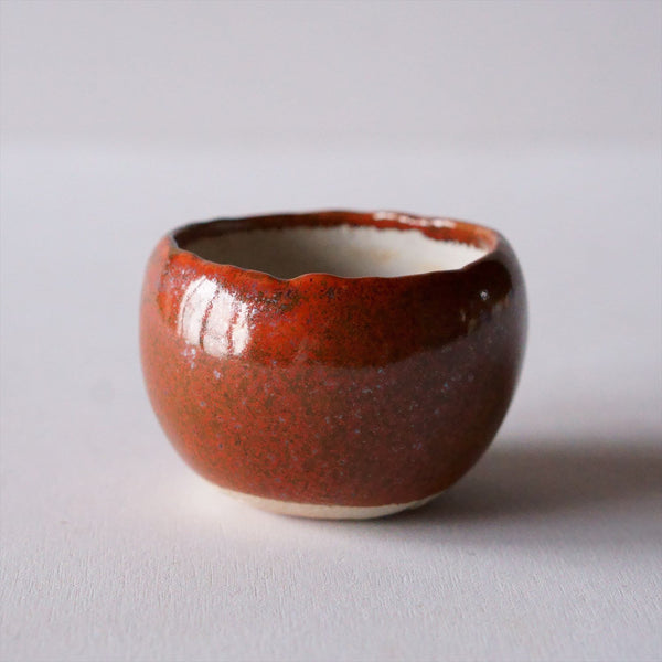 Palm pot｜Iron Red