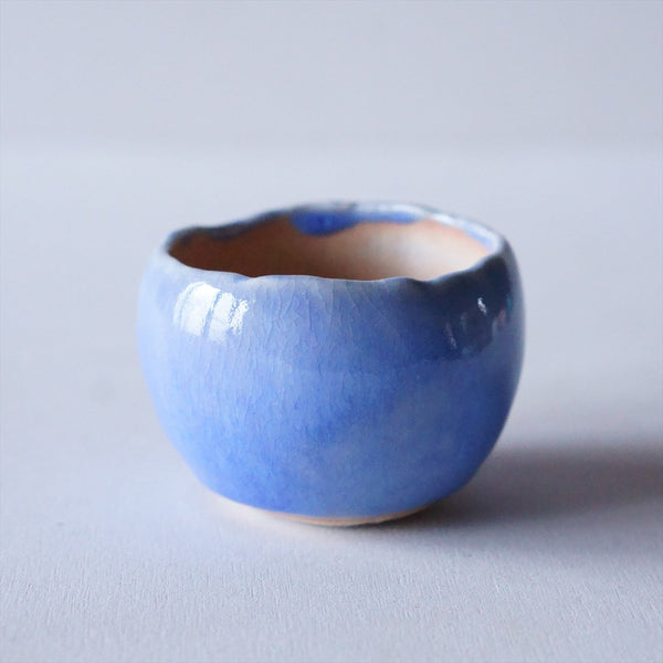 Palm pot｜Light Blue