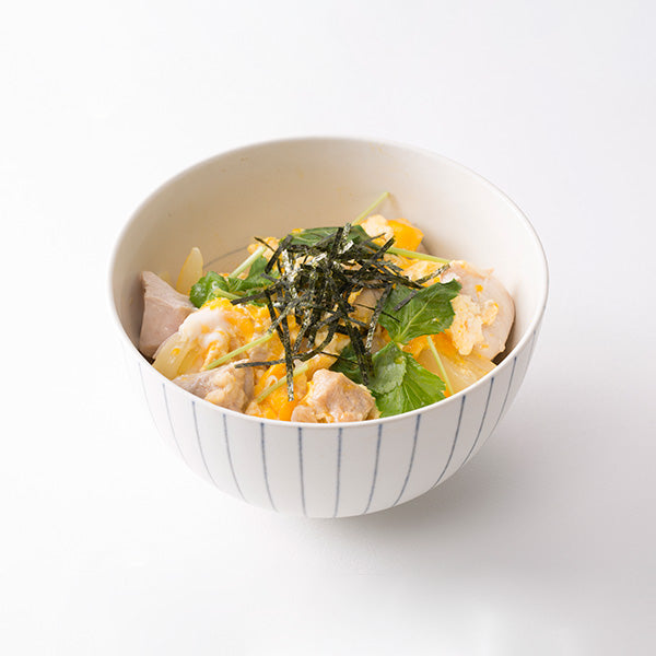 Mino ware DONBURI BOWL