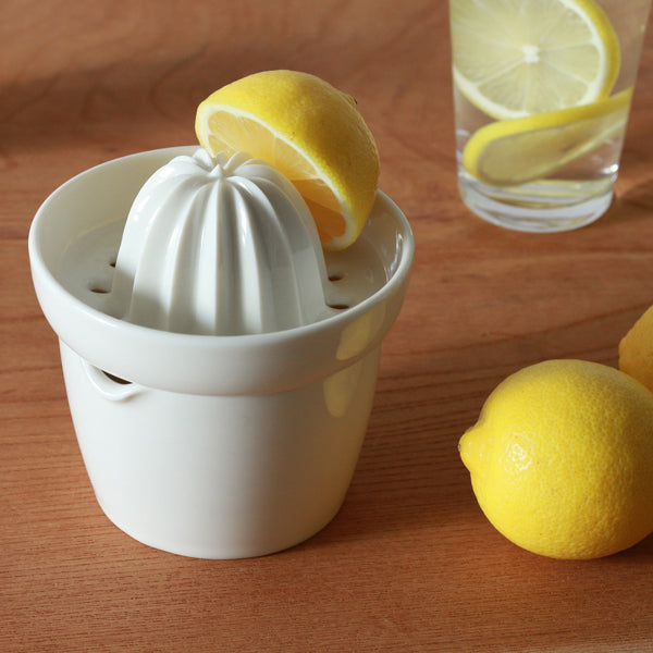 Porcelain Juicer | Kamoshika