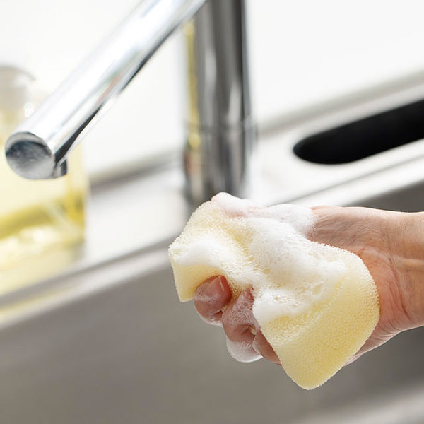 Antibacterial kitchen sponge