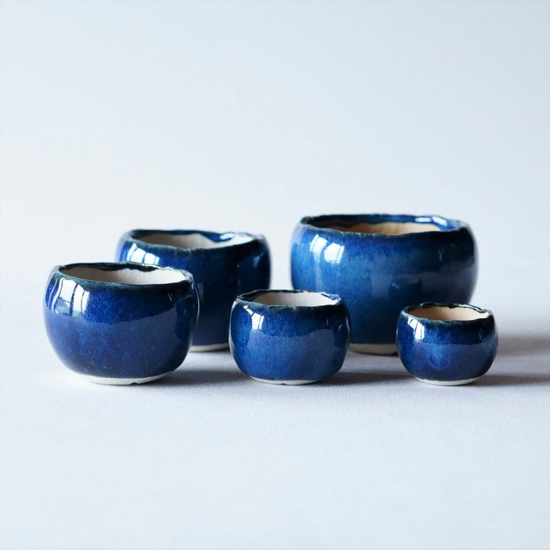 Palm pot｜Indigo