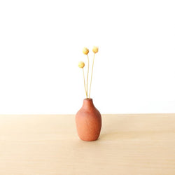 Petit dry flower vase | brown #011