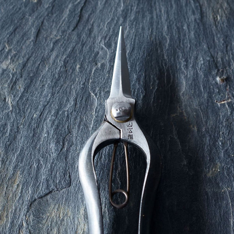 Double-edged Buds cut Scissors