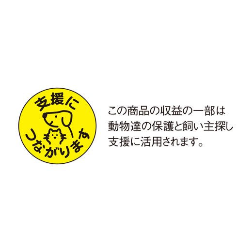 Animal Die-cut Sticker | Cat