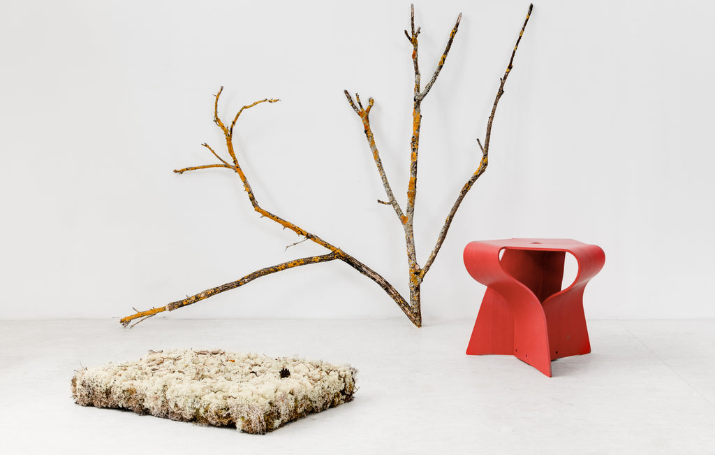 RED Mushroom Stool Special Edition | TENDO MOKKO – ZAKKAsine
