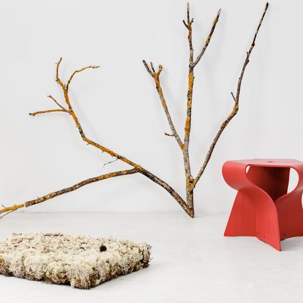 RED Mushroom Stool Special Edition | TENDO MOKKO – ZAKKAsine
