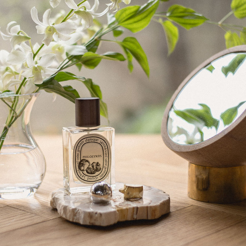 PETRIFIED WOOD COASTER | Natural | amabro