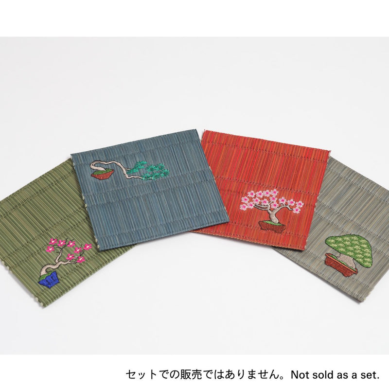 Coaster／"Goyo-matsu" (Five Needle Pine)