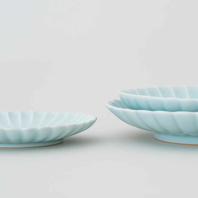 Chrysanthemum Plate | HASAMI