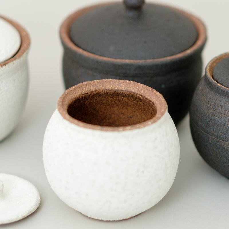 SHIGARAKI salt pot | White