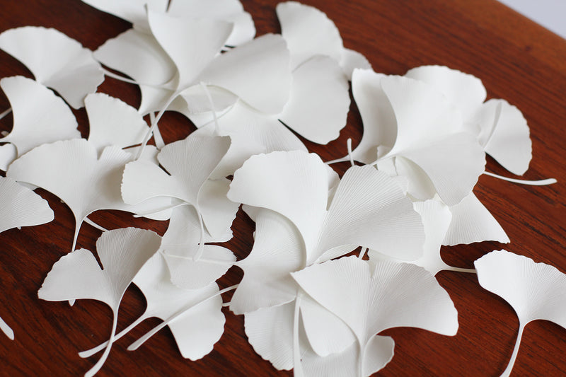 Paper Leaf Ginkgo | Fukunaga Print