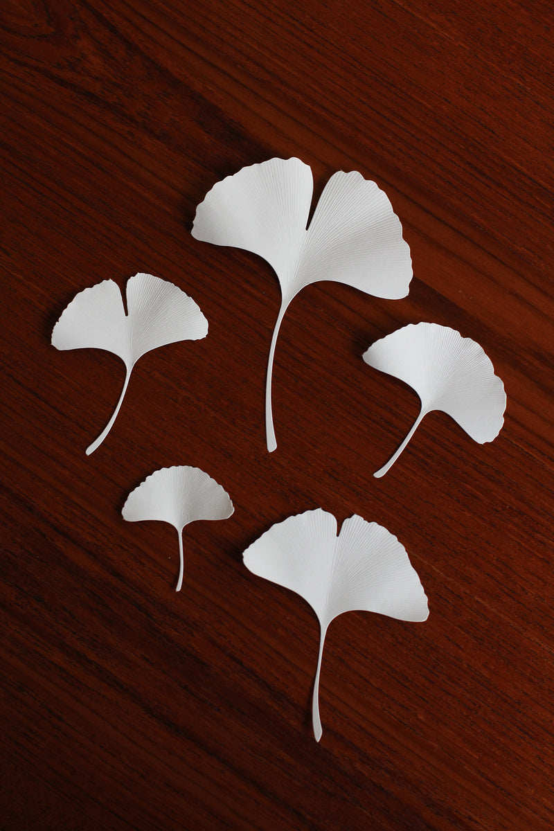 Paper Leaf Ginkgo | Fukunaga Print