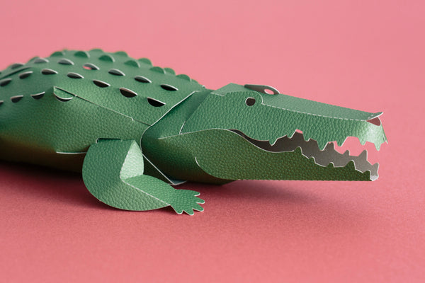 TOP TO TAIL CROCODILE | Fukunaga Print