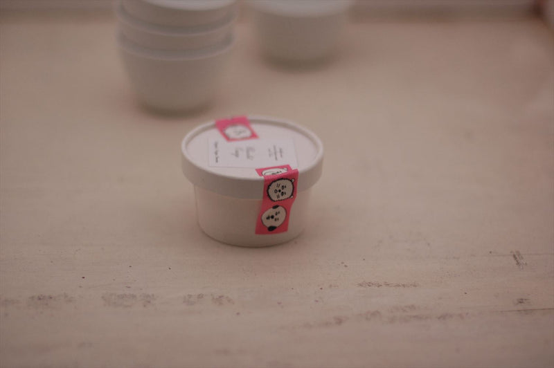 Sennokoto Washi Tape | Face