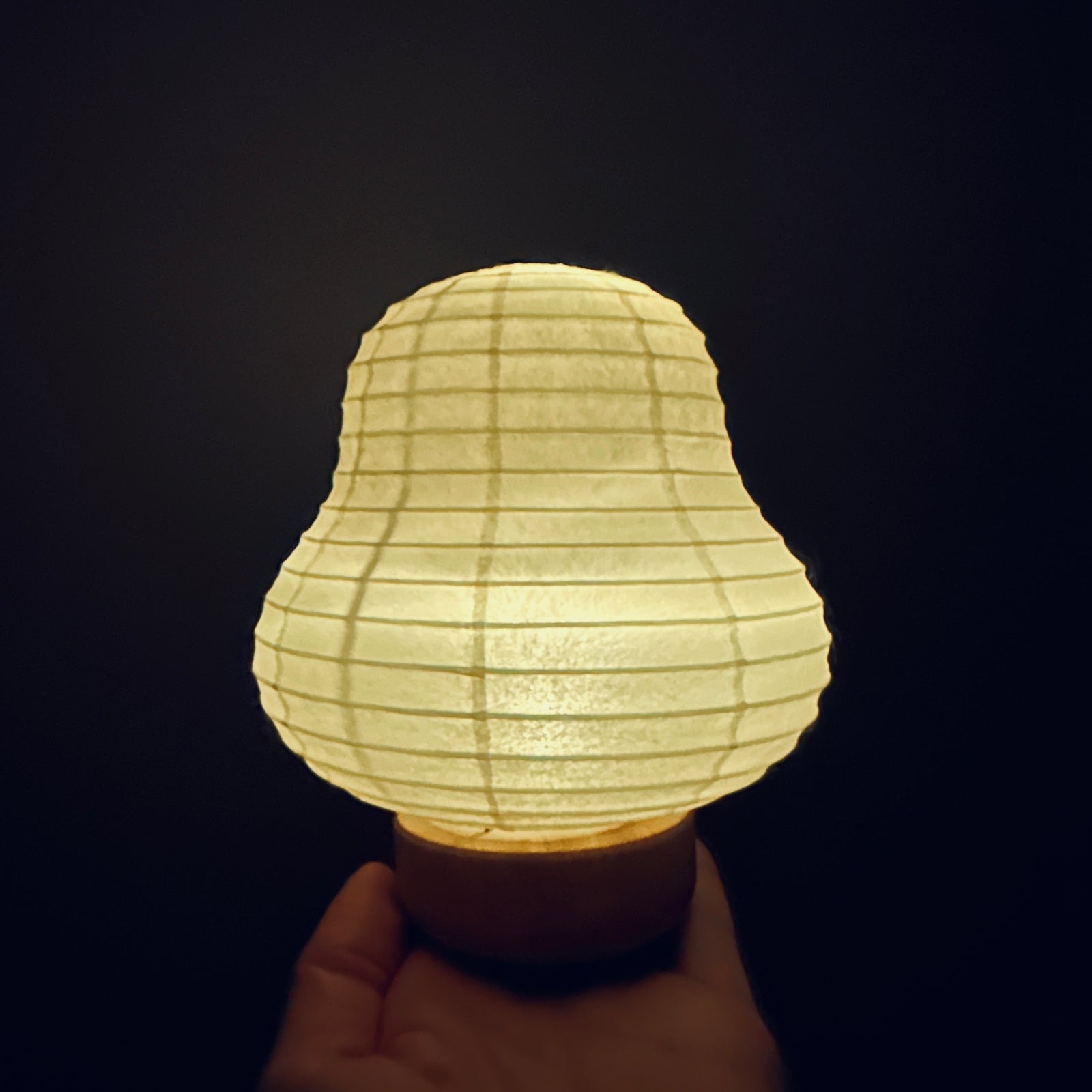 Mame Cocolan Daruma Lantern – ZAKKAsine