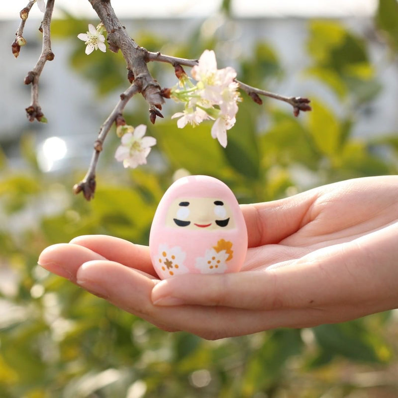 Special Edition Daruma Mikuji ｜ Sakura Cherry Blossom