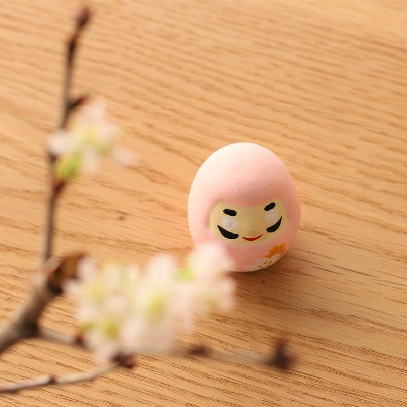 Special Edition Daruma Mikuji ｜ Sakura Cherry Blossom