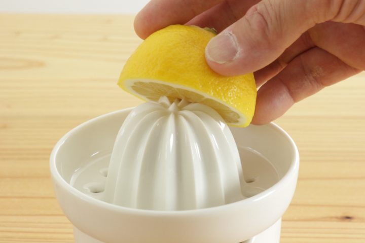 Porcelain Juicer | Kamoshika