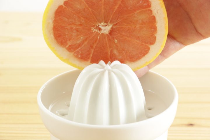 Porcelain Juicer | Kamoshika