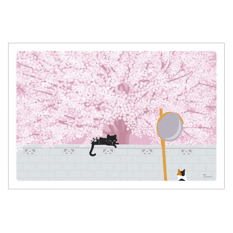 Tabineko Postcard with cats in Japan | spring