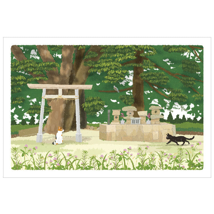 Tabineko Postcard with cats in Japan | summer